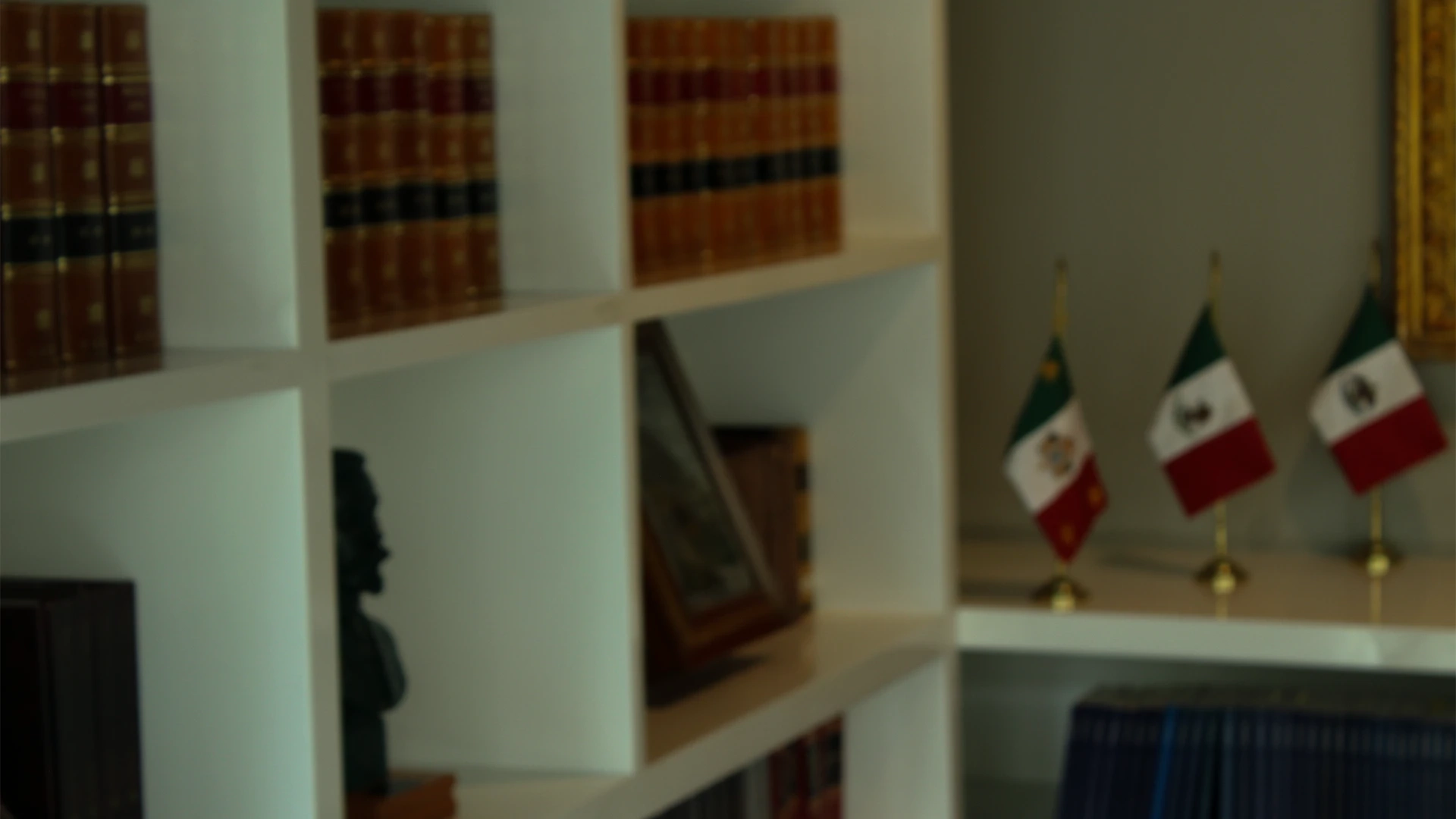 Experiencia Multisectorial